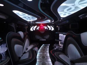 limo entertainment system