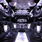 bat themed hummer interior