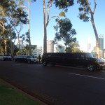 Limousines at Kings Park